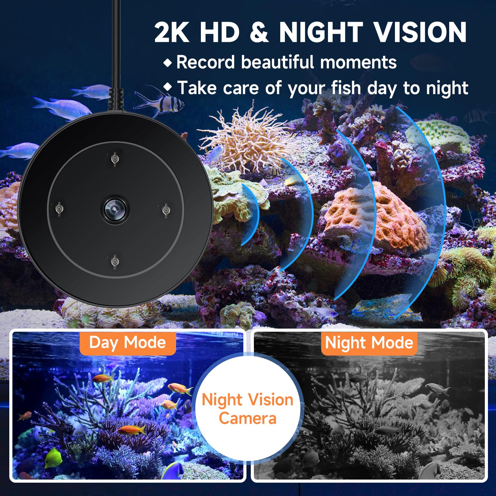 Hygger WiFi feeder camera-view shows 2k HD monitoring of tank activity.