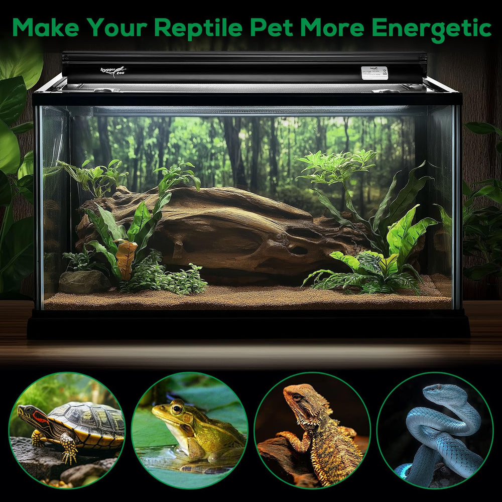 Hygger Zoo desert-reptile-setup image displaying bright lighting for bearded dragons.