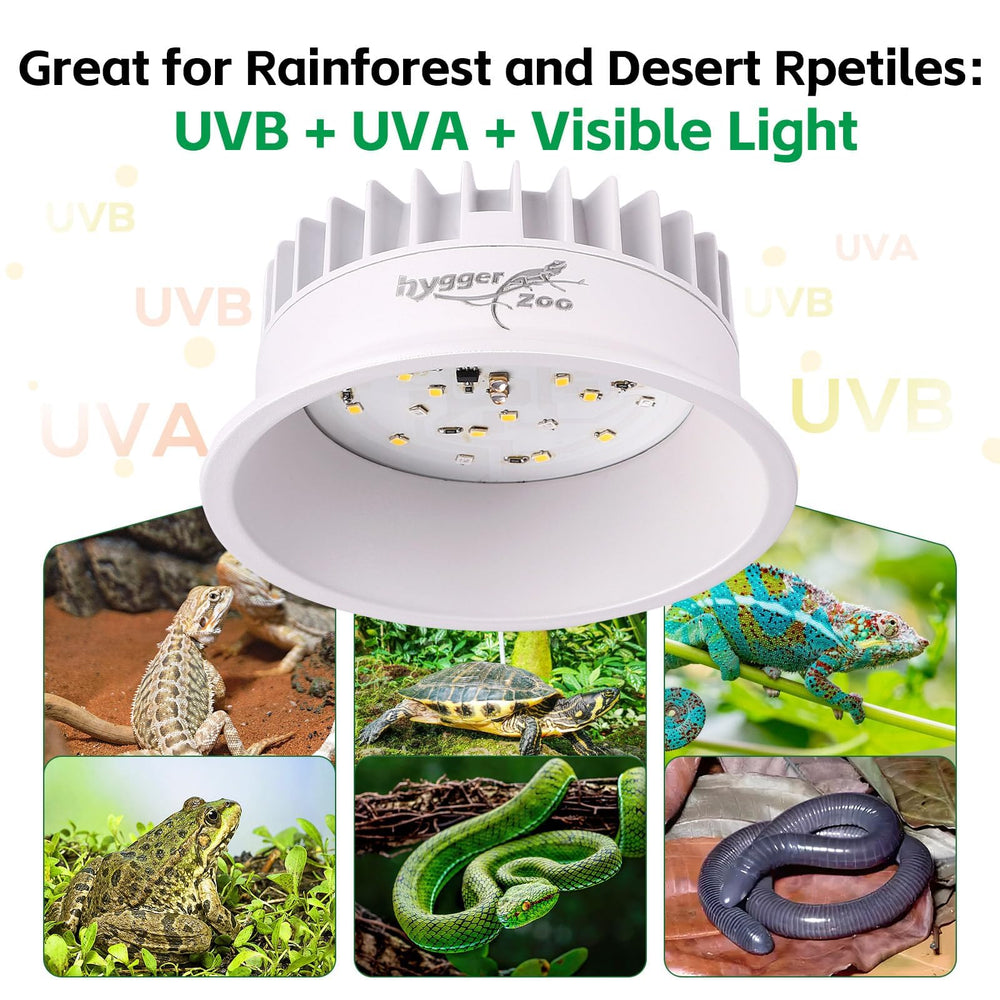 Hygger zoo UVB light delivers natural UVA/UVB balance for an indoor habitat.