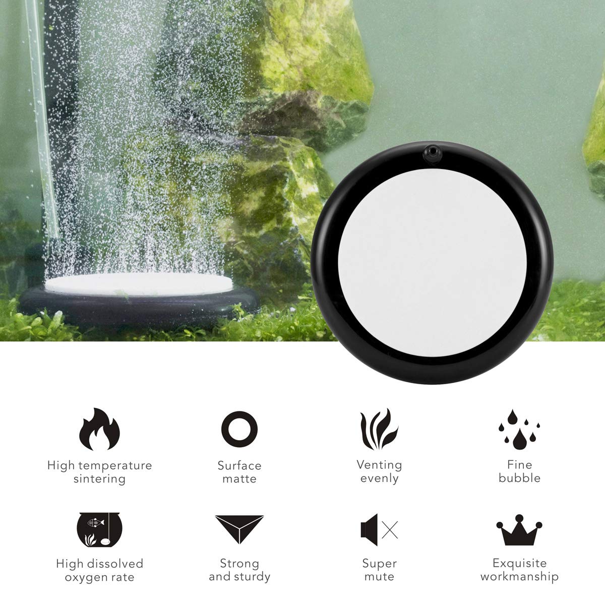 Hygger freshwater-saltwater compatibility demonstrates versatile tank use.
