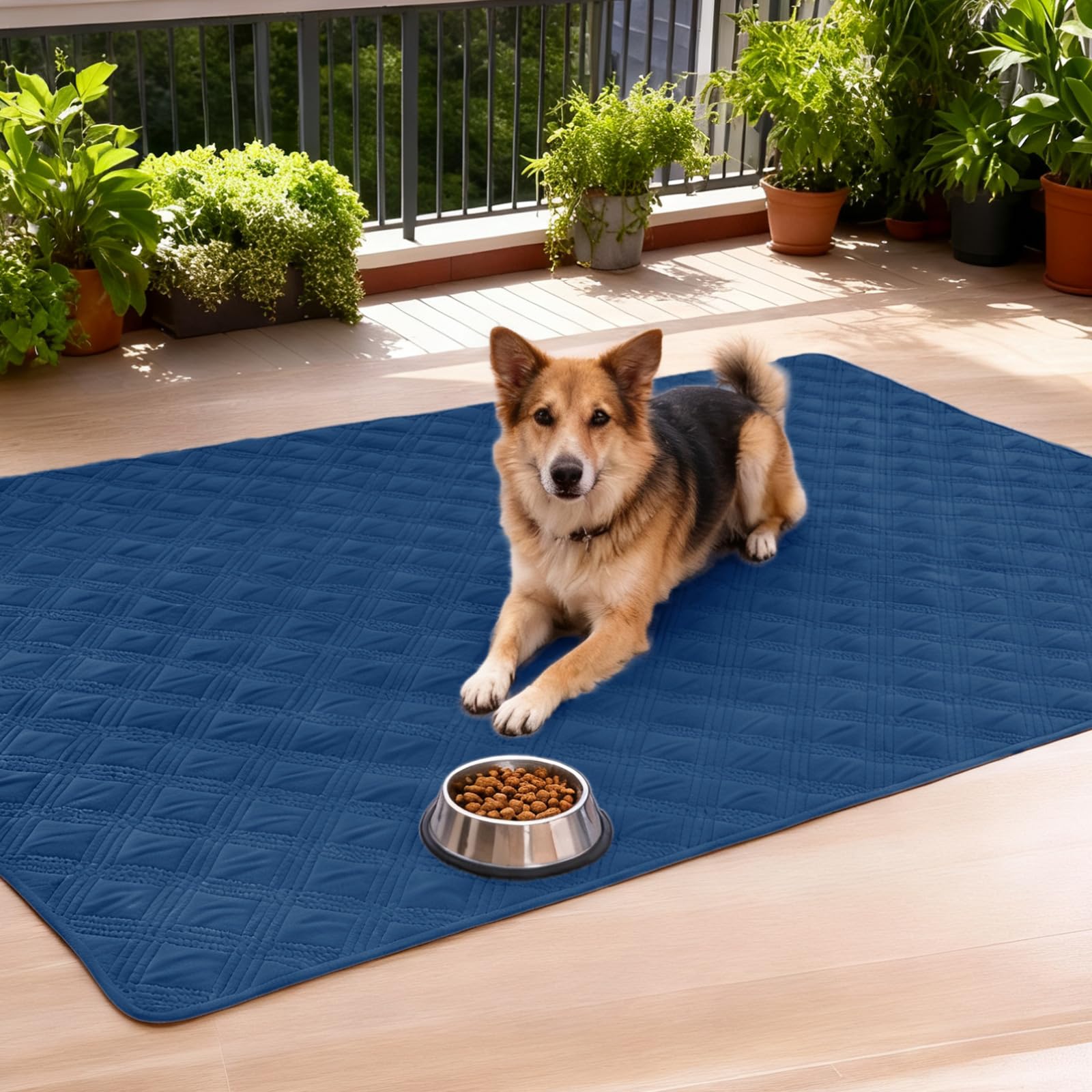 hyha-dog-blanket-size-30x70 shows generous coverage