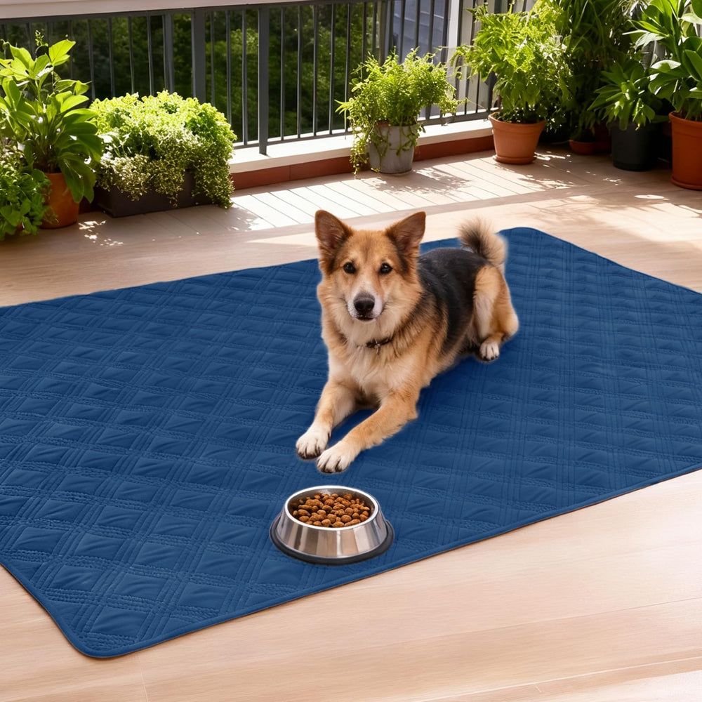 hyha-dog-blanket-size-30x70 shows generous coverage