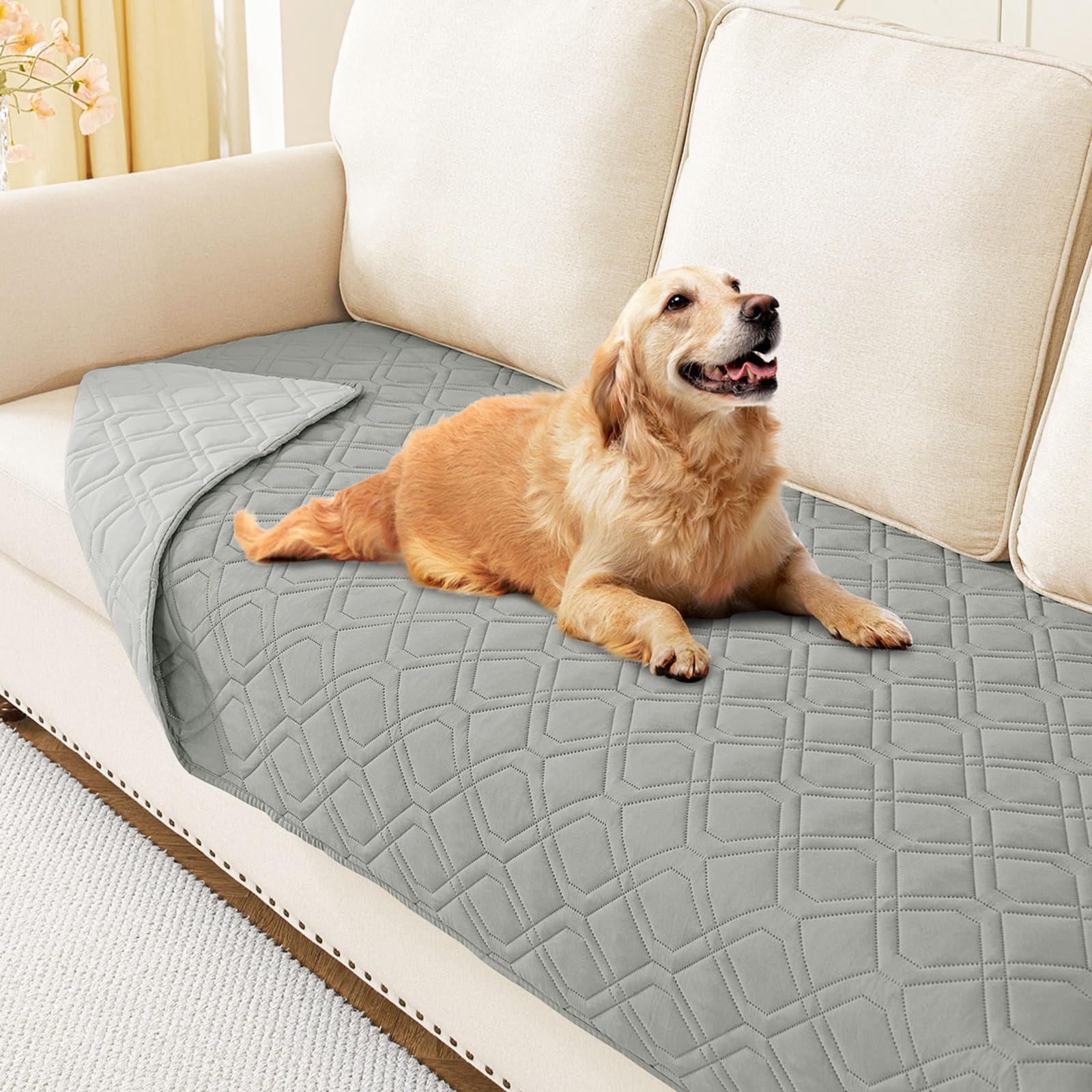 Hyha manta impermeable para perro, vista frontal, protege sofá de manchas y derrames.