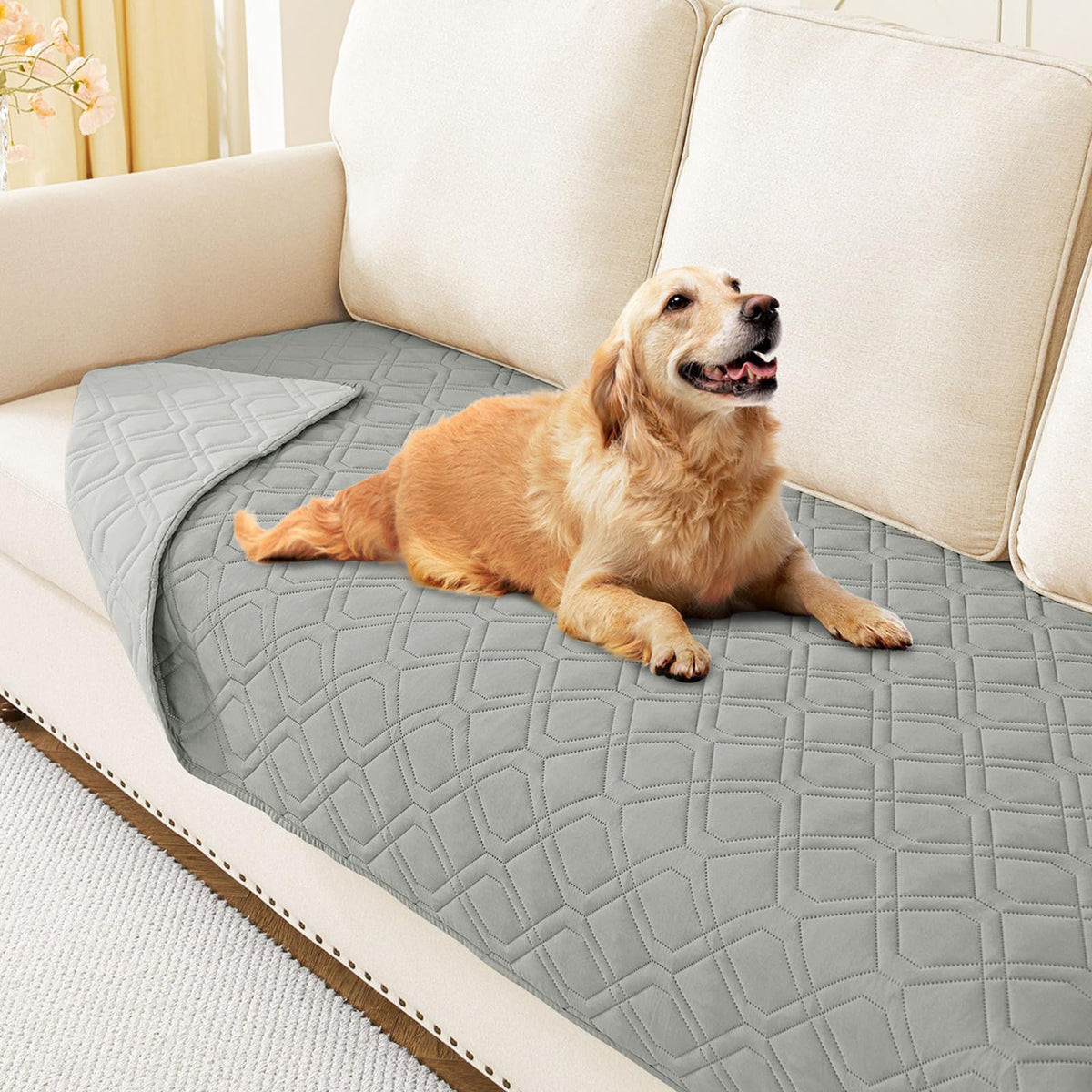 Hyha manta impermeable para perro, vista frontal, protege sofá de manchas y derrames.