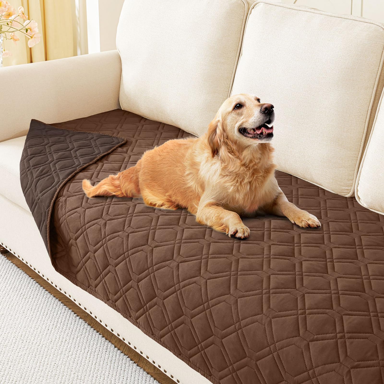 Manta impermeable hyha para perro sobre el sofá, protege de manchas.