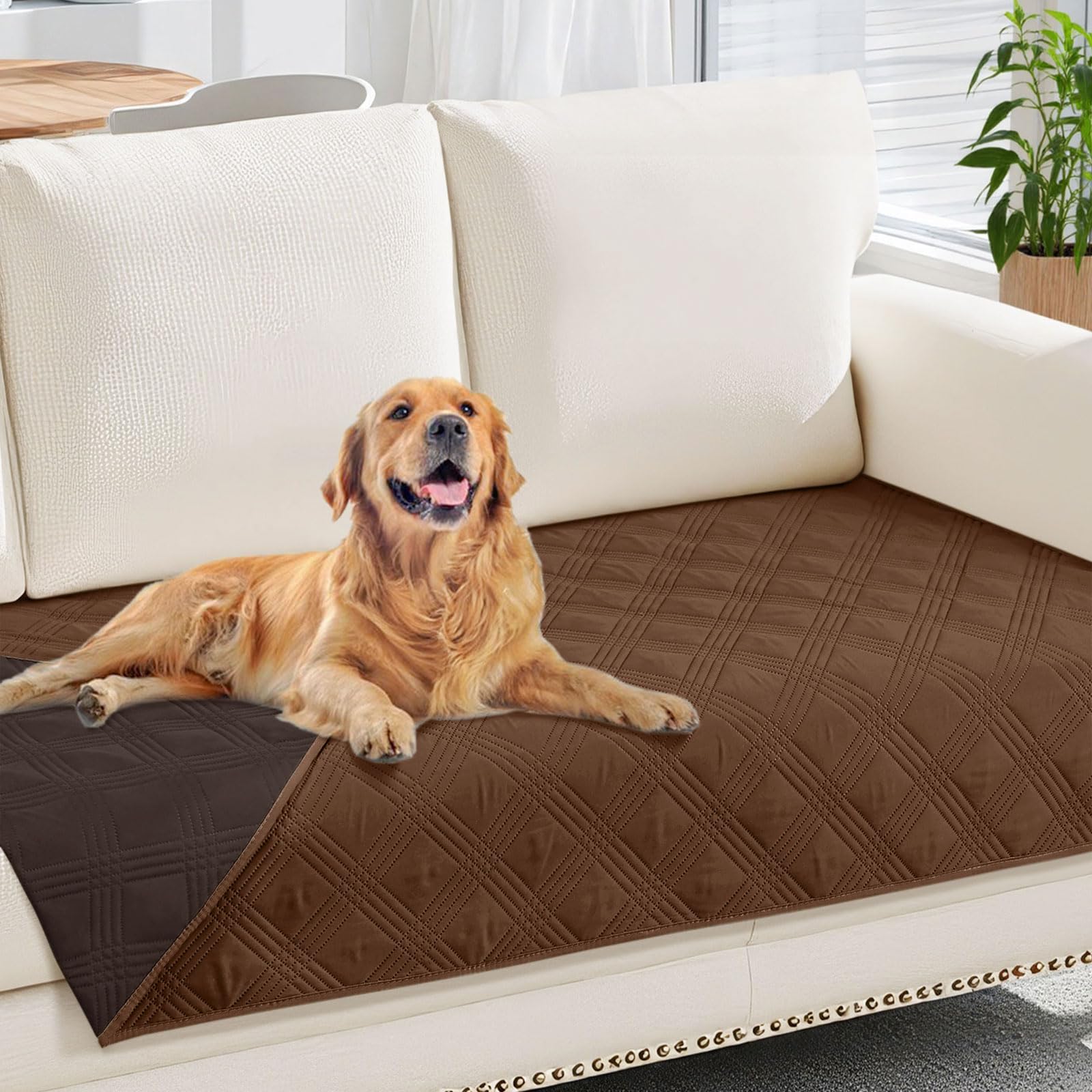 Manta hyha impermeable para perros sobre el sofá, protección contra derrames.