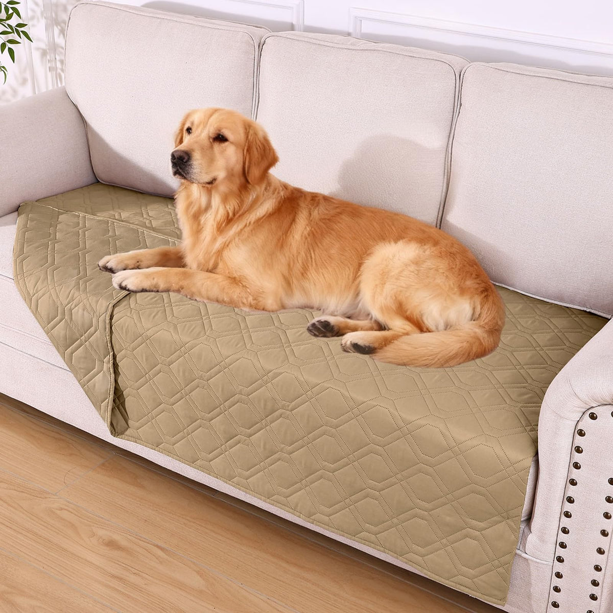 Hyha manta impermeable para perros junto al sofá, protege de agua y manchas.