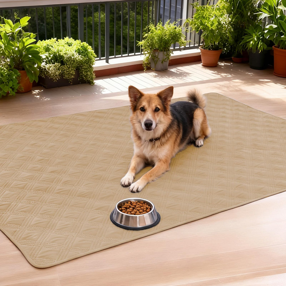hyha travel-friendly pet blanket waterproof compact design for trips