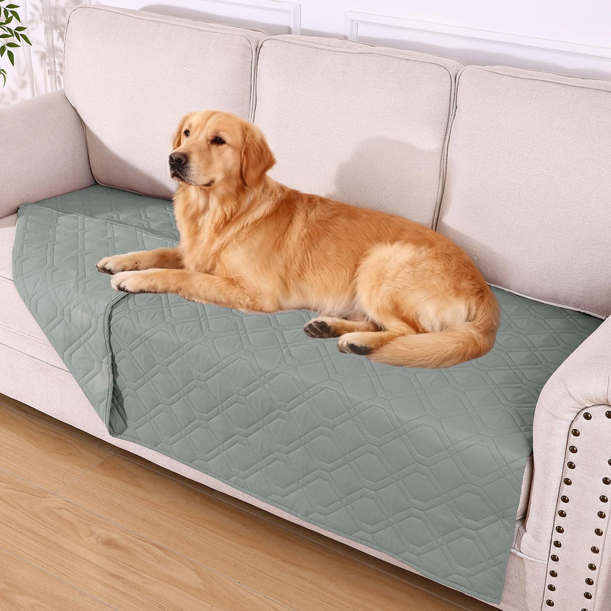 Hyha waterproof dog bed blanket dual-layer waterproof layer protects furniture from spills.