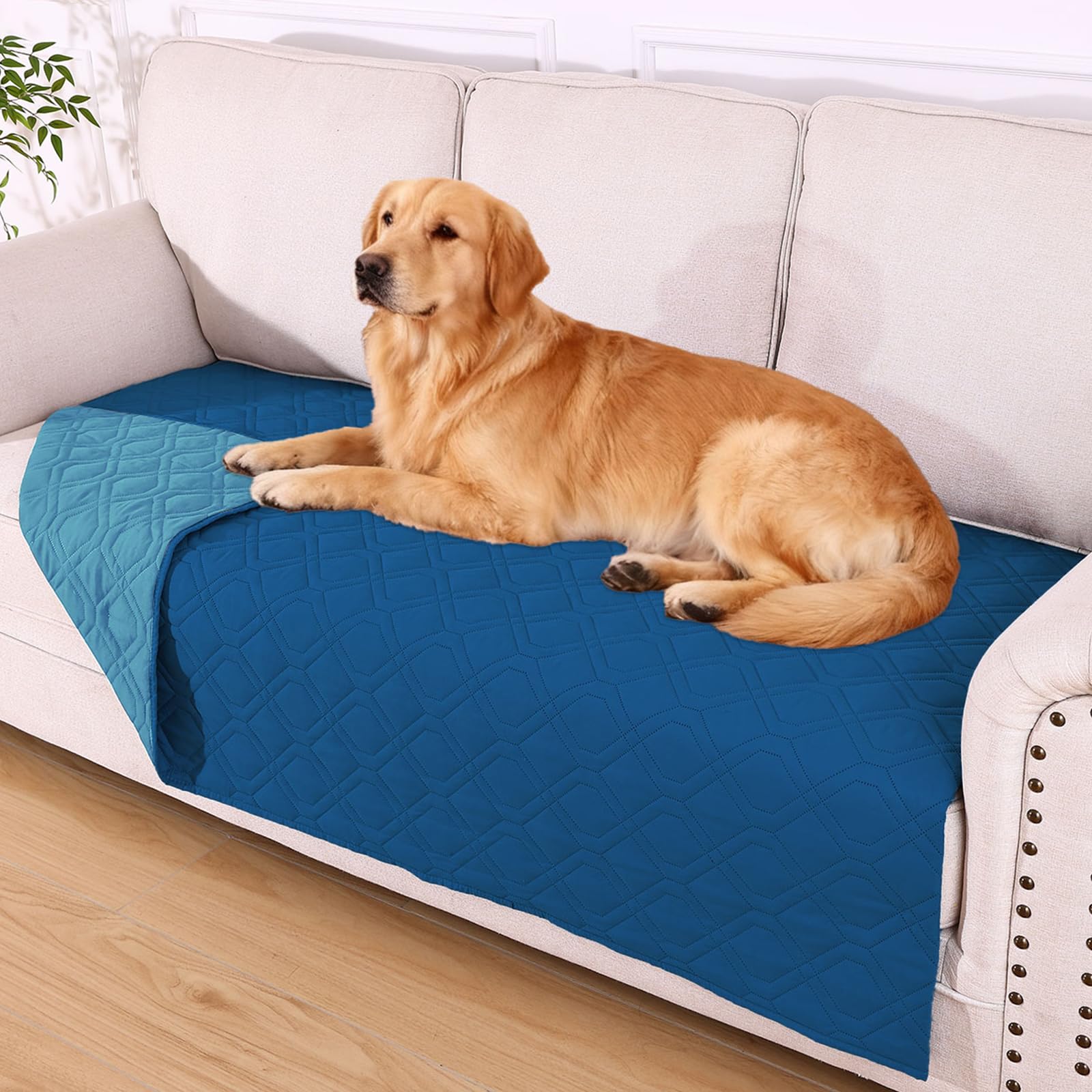 hyha waterproof dog bed blanket dual waterproof guards furniture from spills.