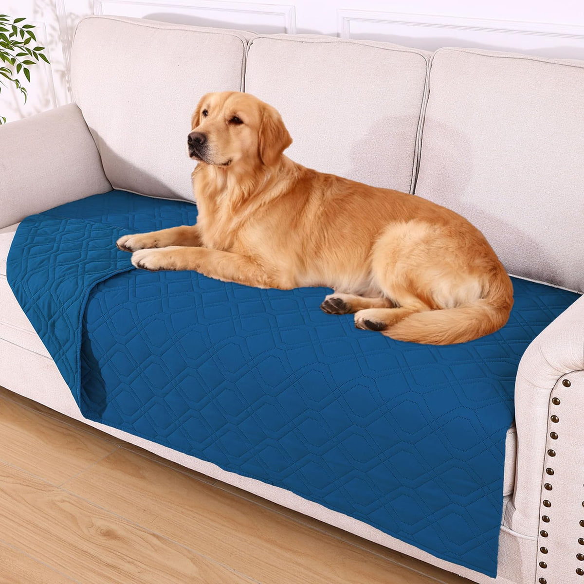 hyha waterproof dog bed blanket front view demonstrates triple protection against spills and furniture mess.