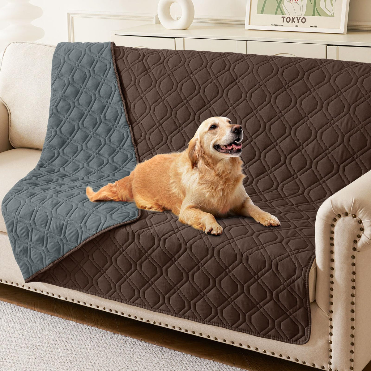 hyha waterproof dog bed blanket on sofa keeps furniture dry and clean