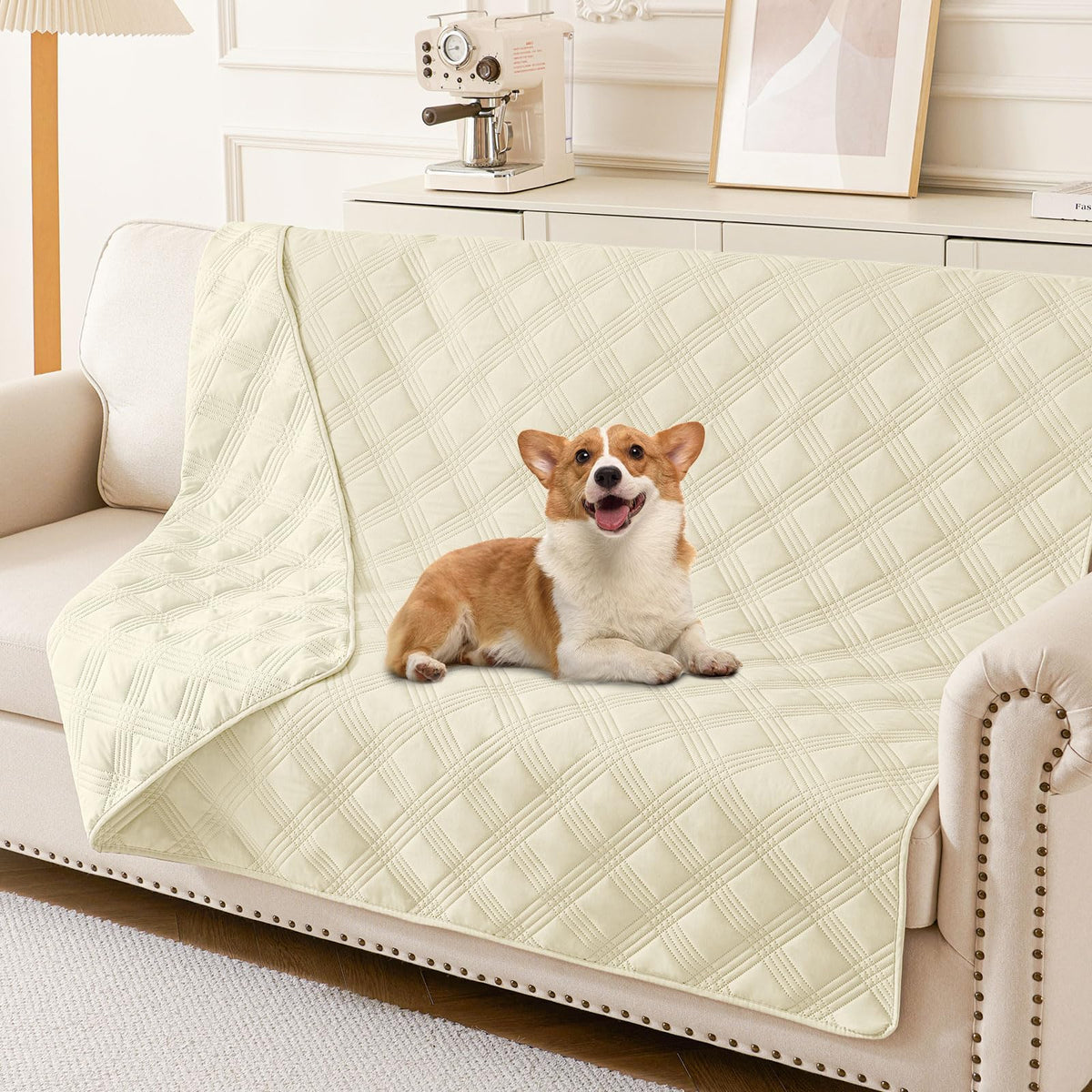 hyha waterproof dog blanket on beige sofa protects furniture from spills.