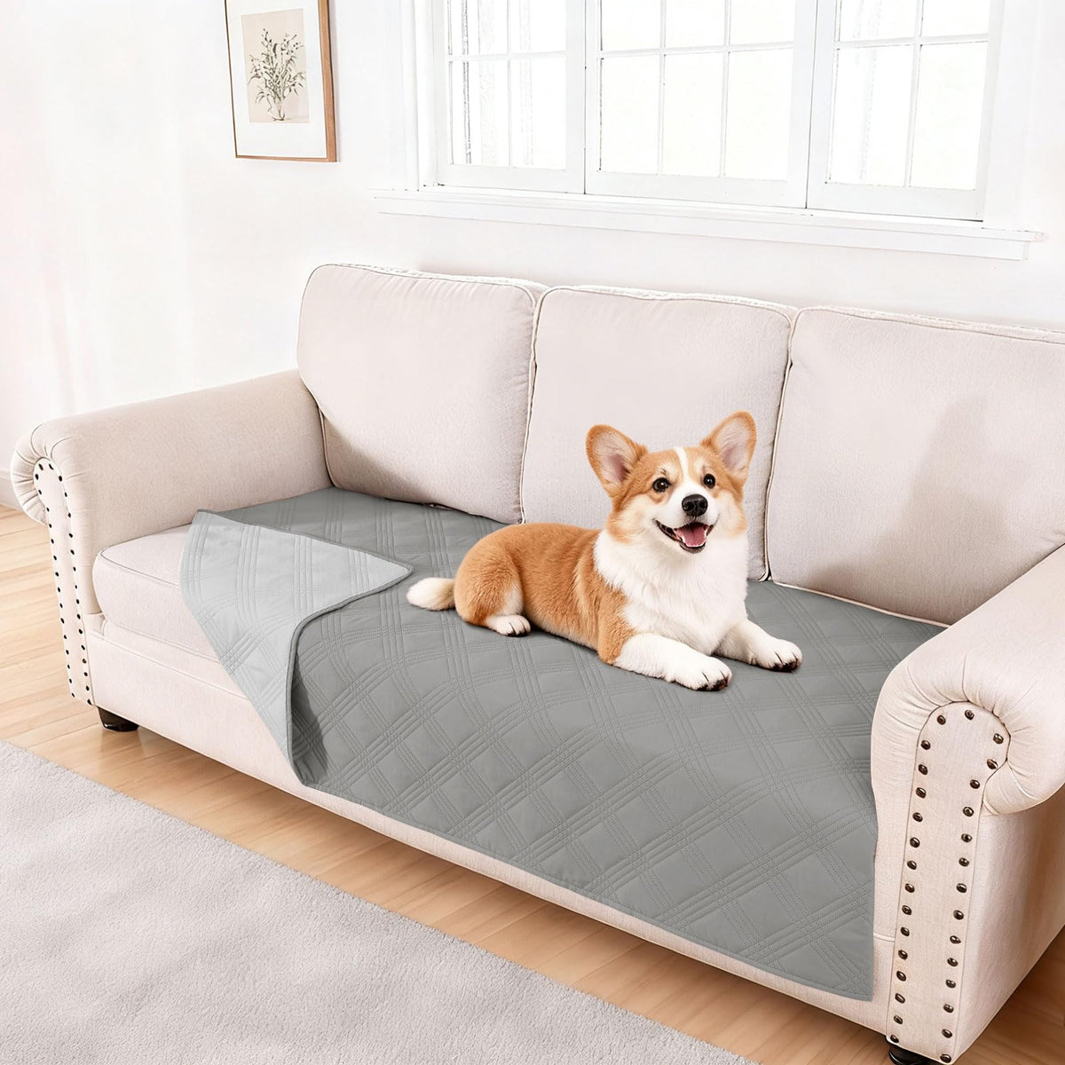 hyha waterproof dog blanket closeup shows TPU coating for spill protection