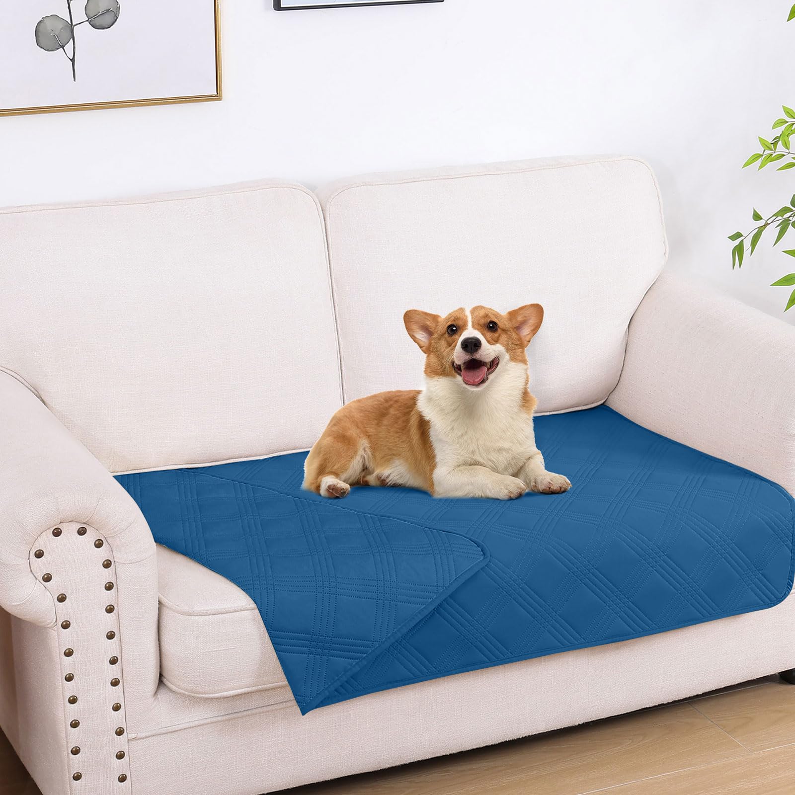Hyha waterproof dog blanket with coating protects furniture from spills