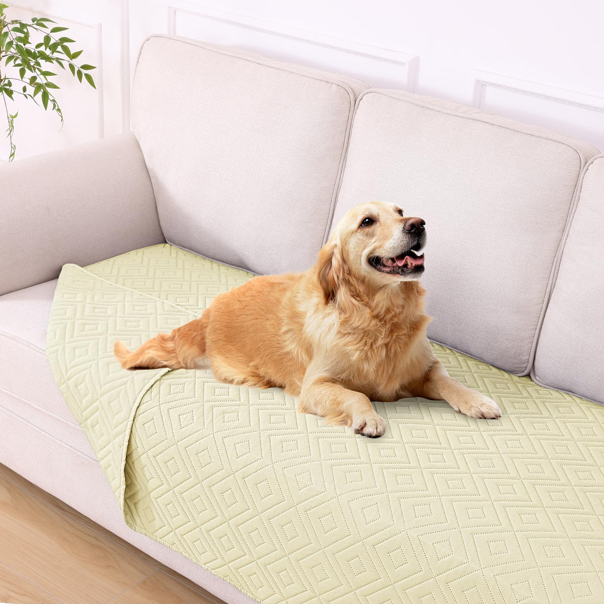 hyha waterproof dog blanket front beige view protects furniture from spills and hair.