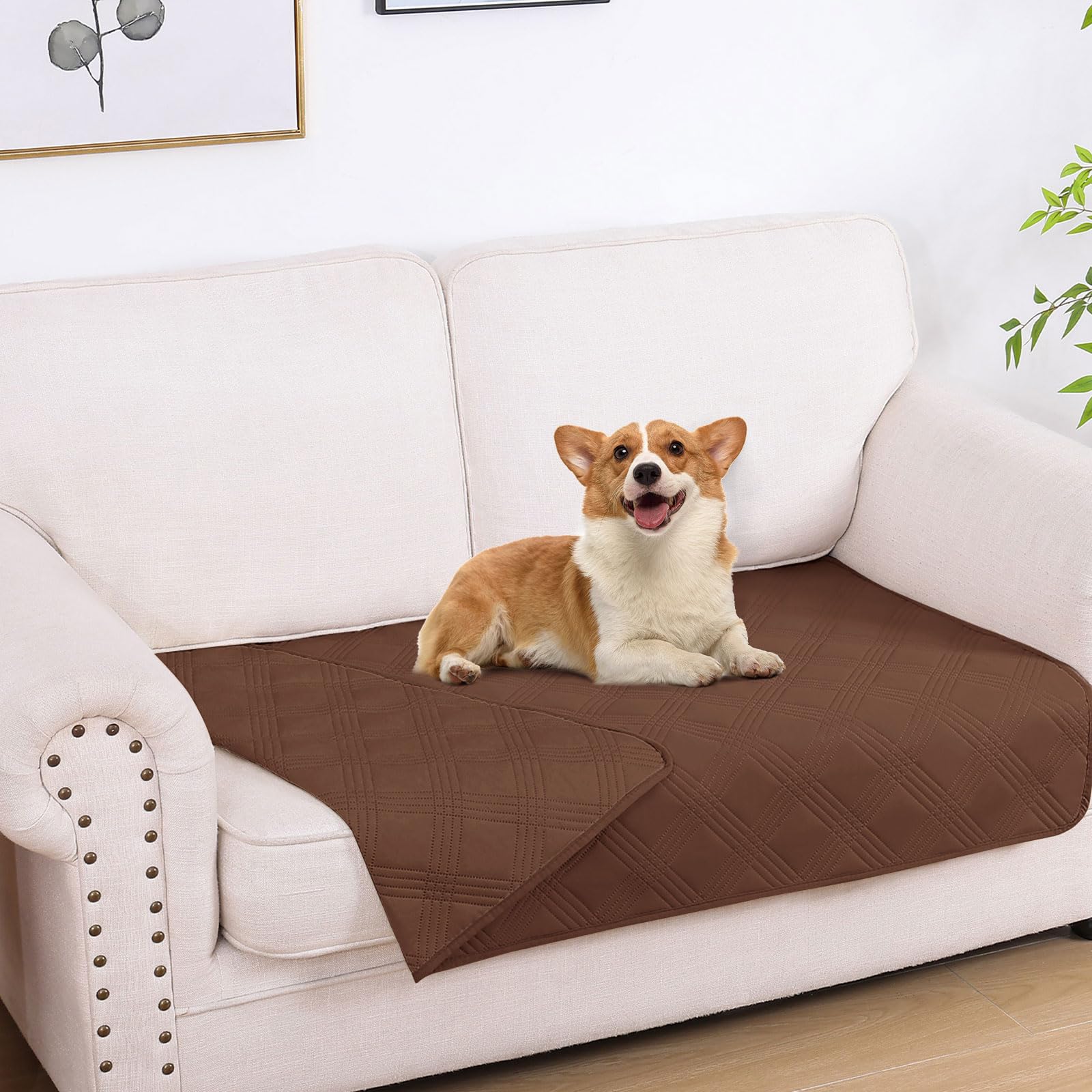 hyha waterproof dog blanket on sofa protects furniture from spills and slobber