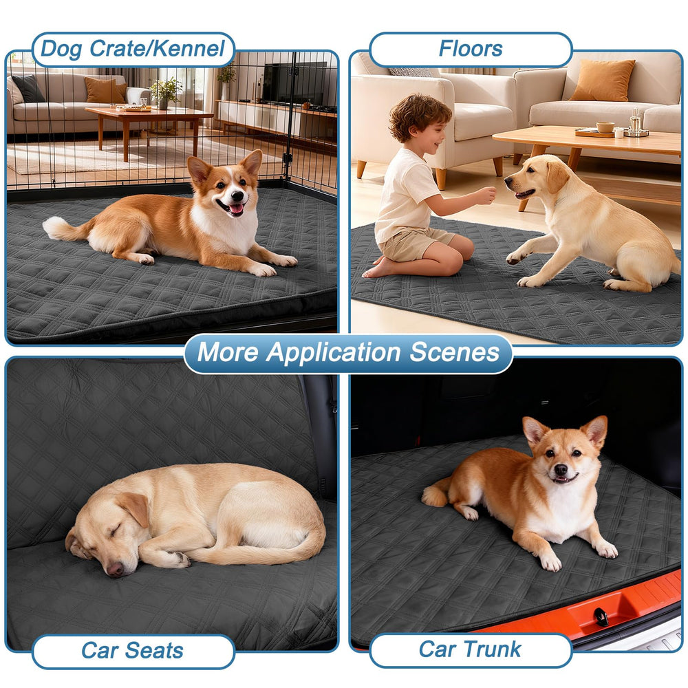 Hyha waterproof dog blanket travel use demonstrates portable protection