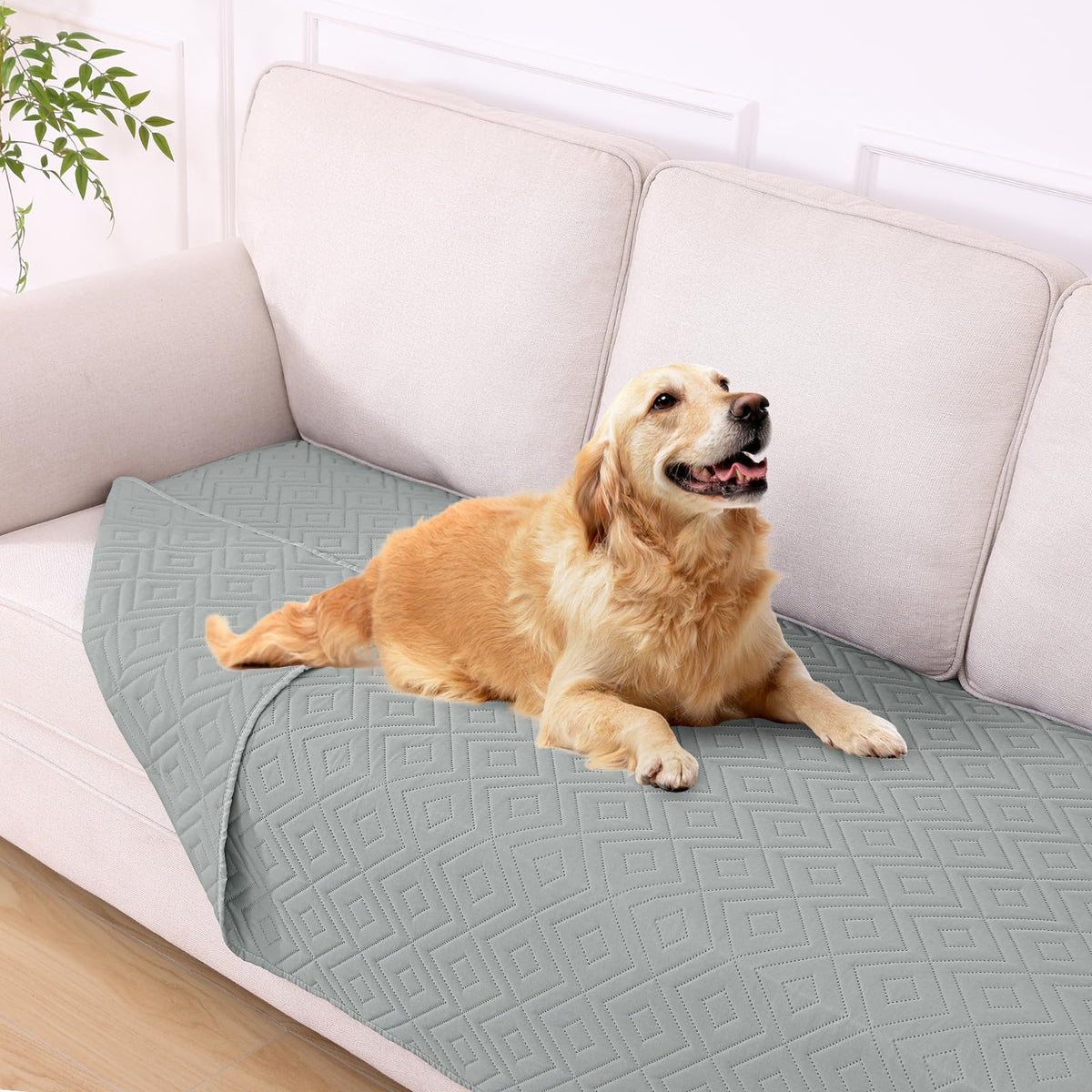 Hyha waterproof dog blanket closeup shows triple protection against spills.