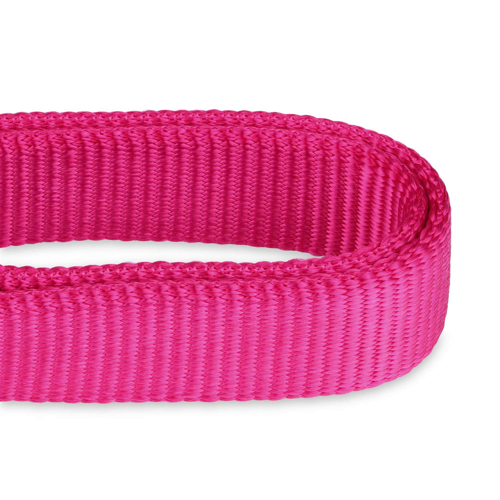 Hyhug escape-proof martingale use demonstrates gentle control during walks and training sessions