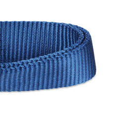 Hyhug Martingale Collar blue buckle-free design shown for gentle control during walks.