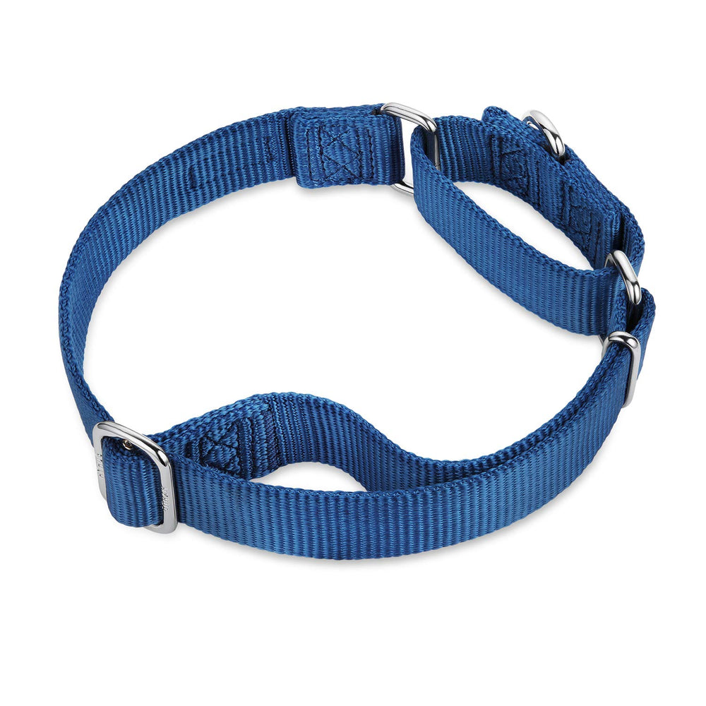 Hyhug Martingale Collar blue in-use image emphasizes controlled training during outdoor walks.