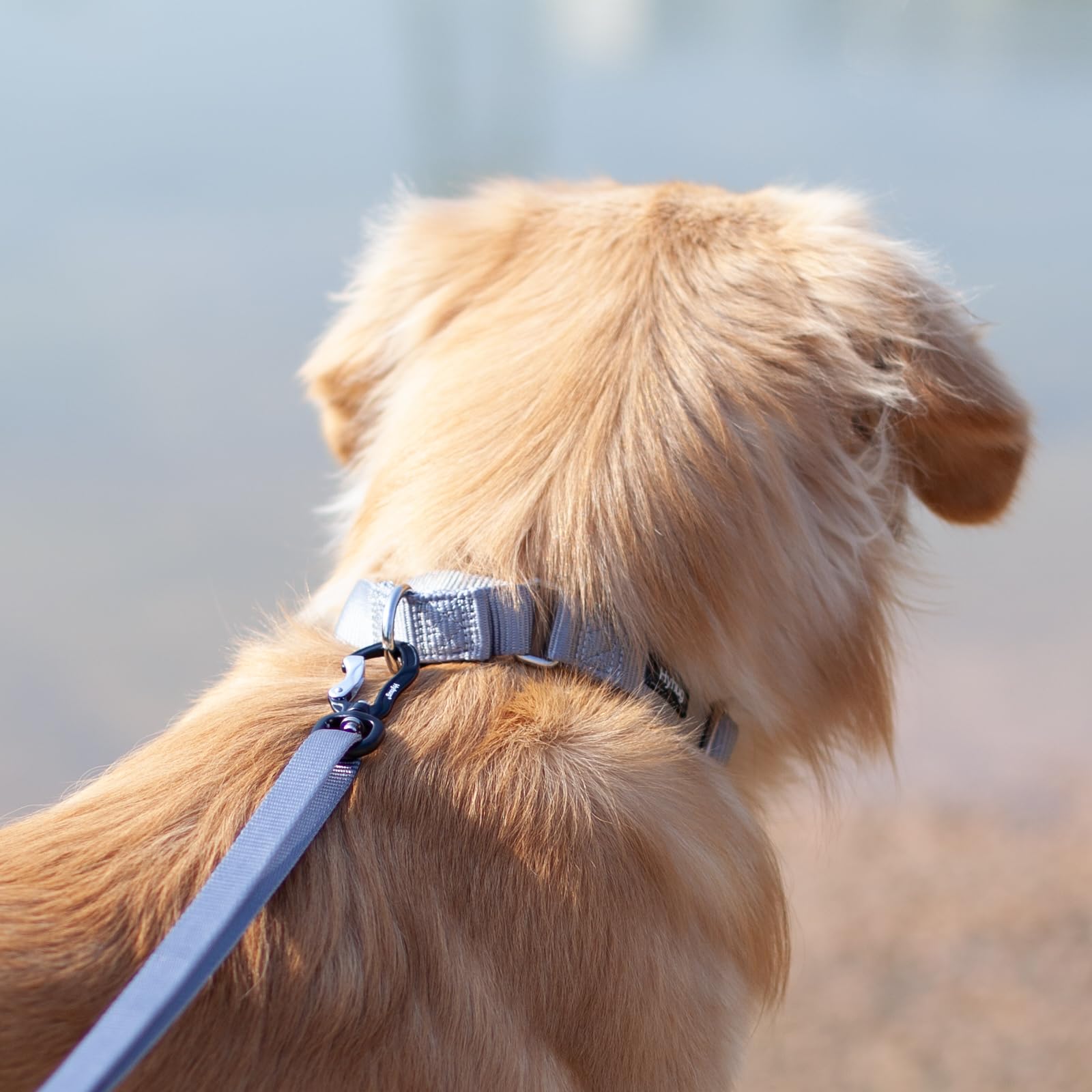 Hyhug martingale collar small gray slip-on function enables gentle control during walks.