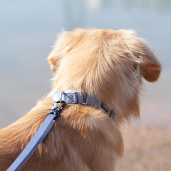 Hyhug martingale collar small gray slip-on function enables gentle control during walks.