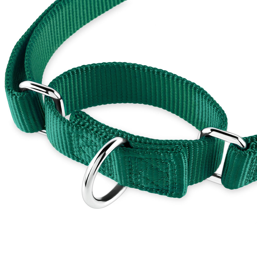 Hyhug martingale collar adjustable 11-15 inch length on dog