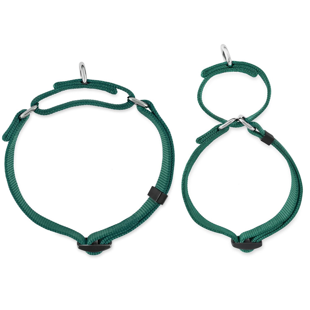 Hyhug colorfast green collar after rain stays vibrant