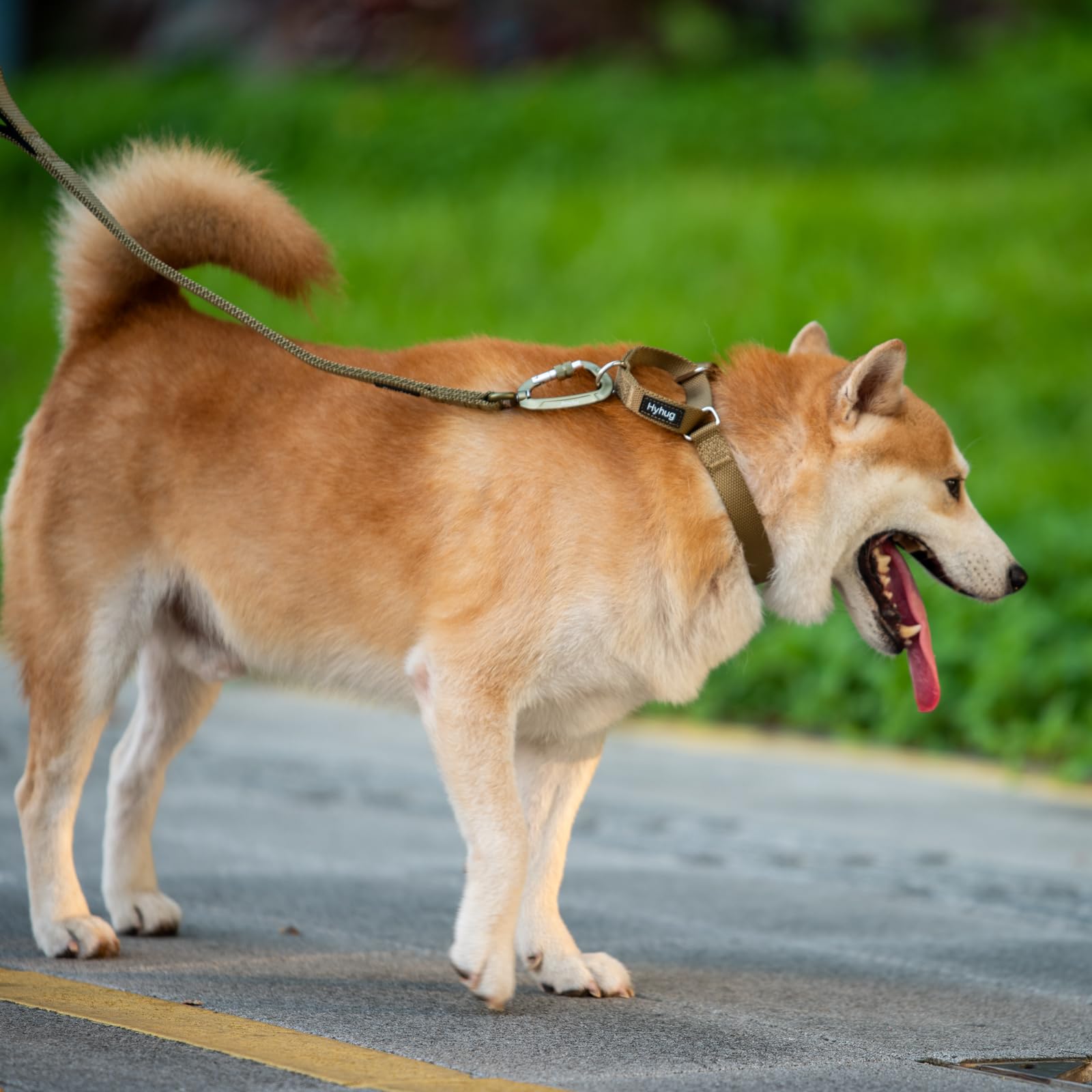 Hyhug size medium 14-21 inch neck supports medium breeds.