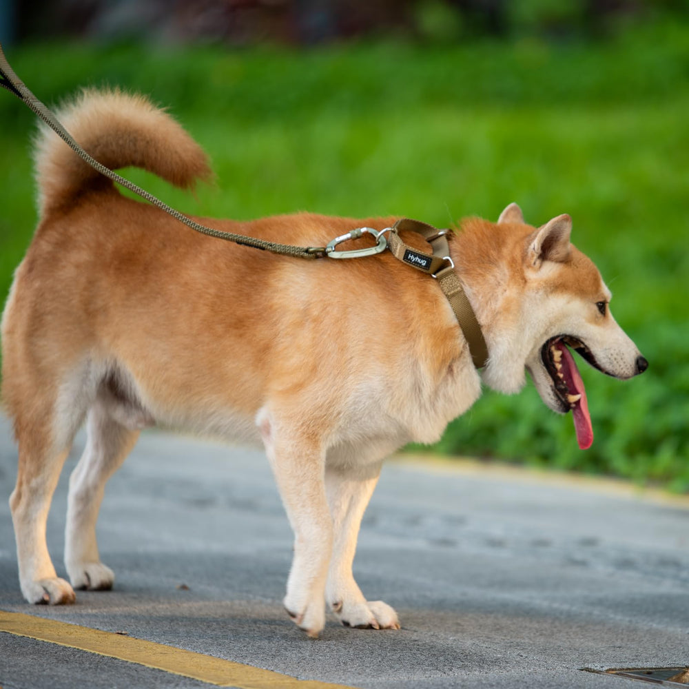 Hyhug size medium 14-21 inch neck supports medium breeds.