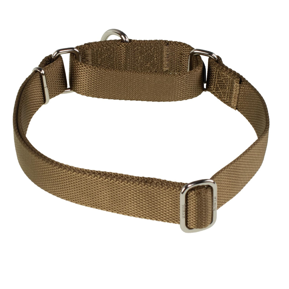 Hyhug collar worn during a walk showcases comfort and anti-escape design.