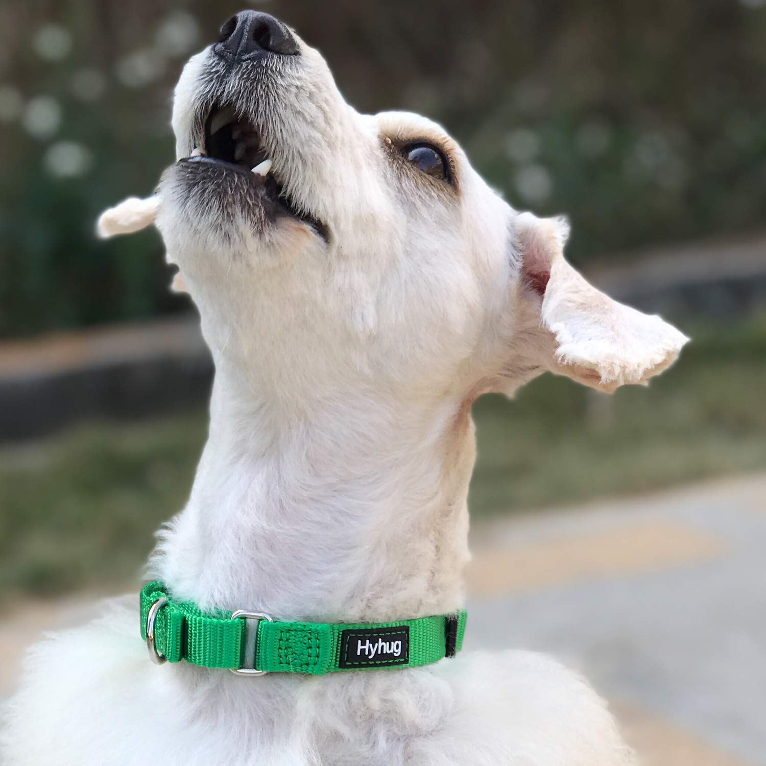 Hyhug Martingale collar colorfast nylon resists fading in sun and rain