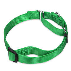 Hyhug Martingale collar highlighting escape-proof feature for gentle control