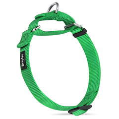 Hyhug Martingale collar close-up on rugged nylon strap for daily wear