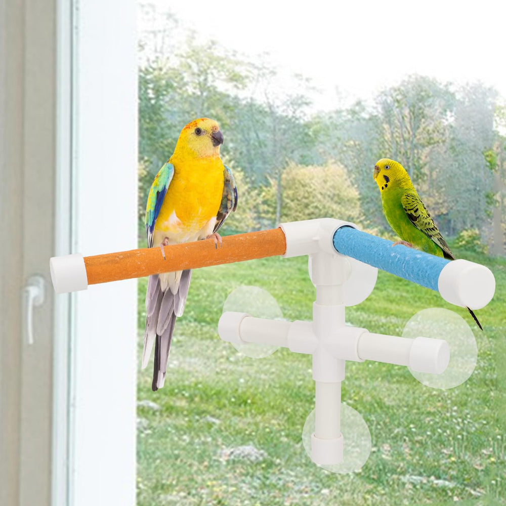 Hypeety window perch allows natural sunlight exposure for birds during play