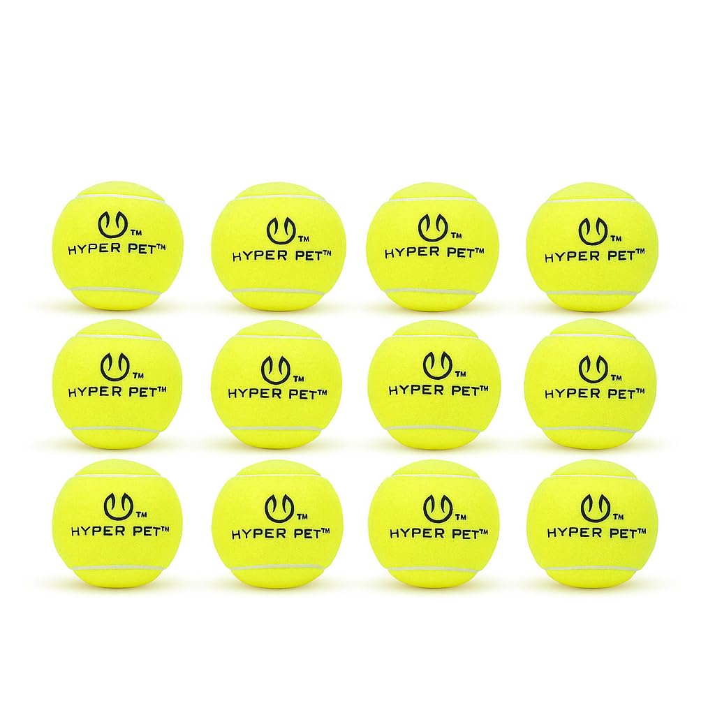Hyper Pet dog tennis ball orange closeup ideal for high-visibility fetch.