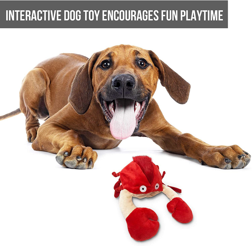 Hyper Pet Doggie Pal battery compartment shows easy battery replacement.