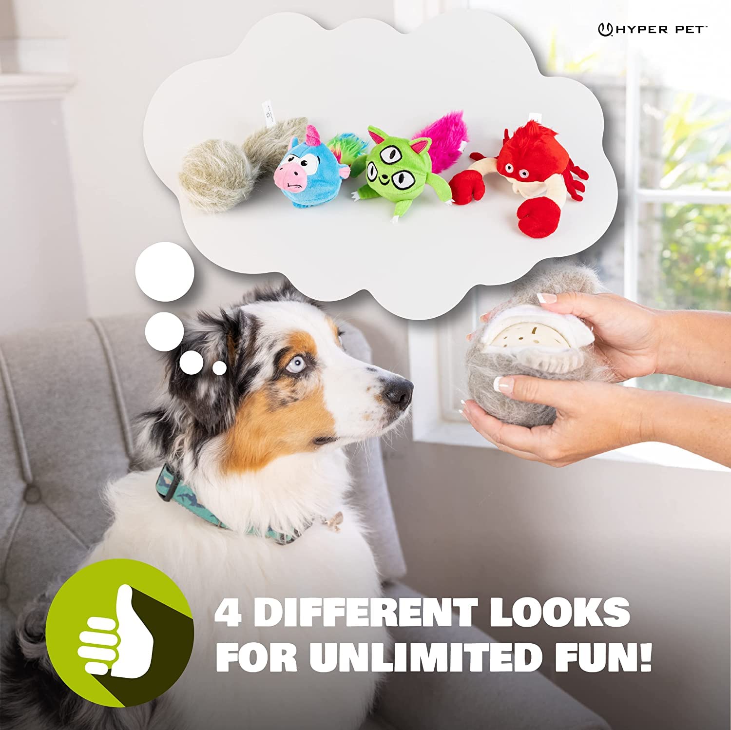 Hyper Pet Doggie Pal ergonomic play-time design supports safe handling.