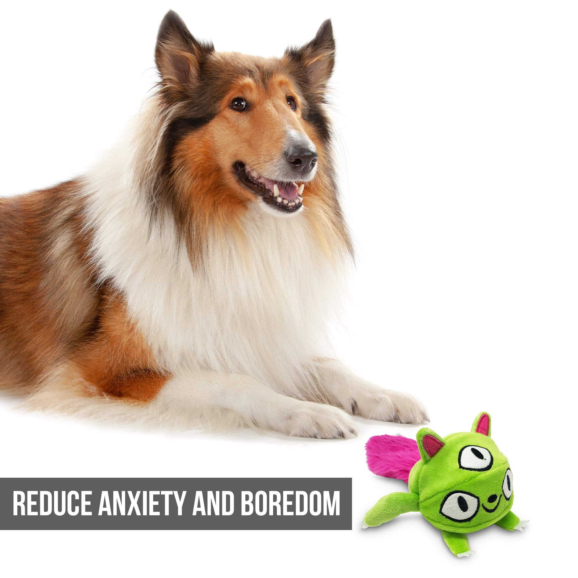 Hyper Pet Doggie Pal Monster toy ideal for indoor, mess-free play.