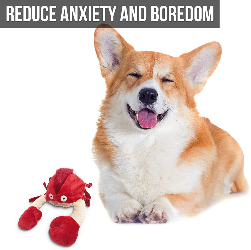 Hyper Pet Doggie Pal on-off switch under cover enables quick power control.