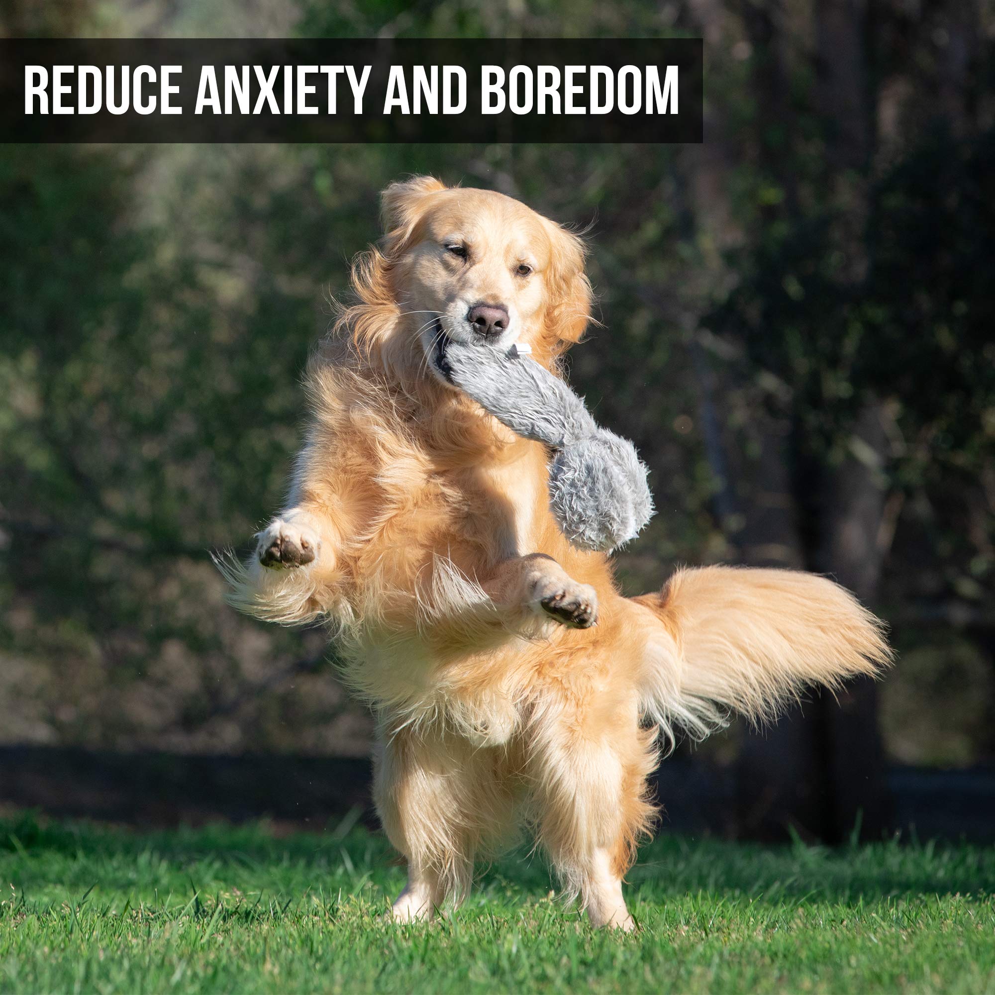 Hyper Pet Doggie Tail barks sound enhances realistic play during canine fun