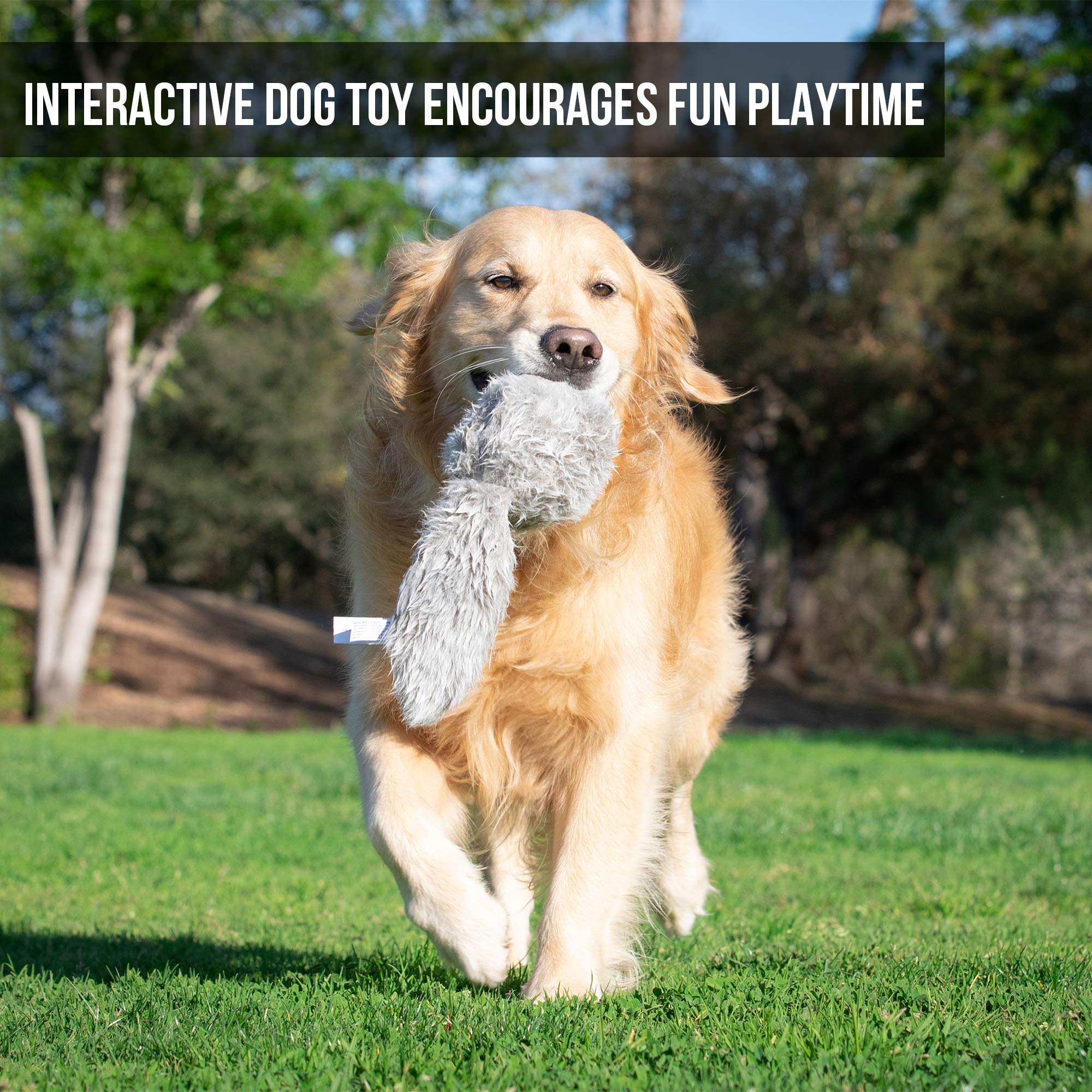 Hyper Pet Doggie Tail accessible battery compartment for quick changes