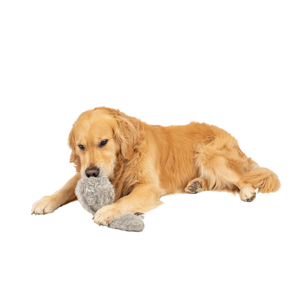 Hyper Pet Doggie Tail new covers variety for refreshed looks