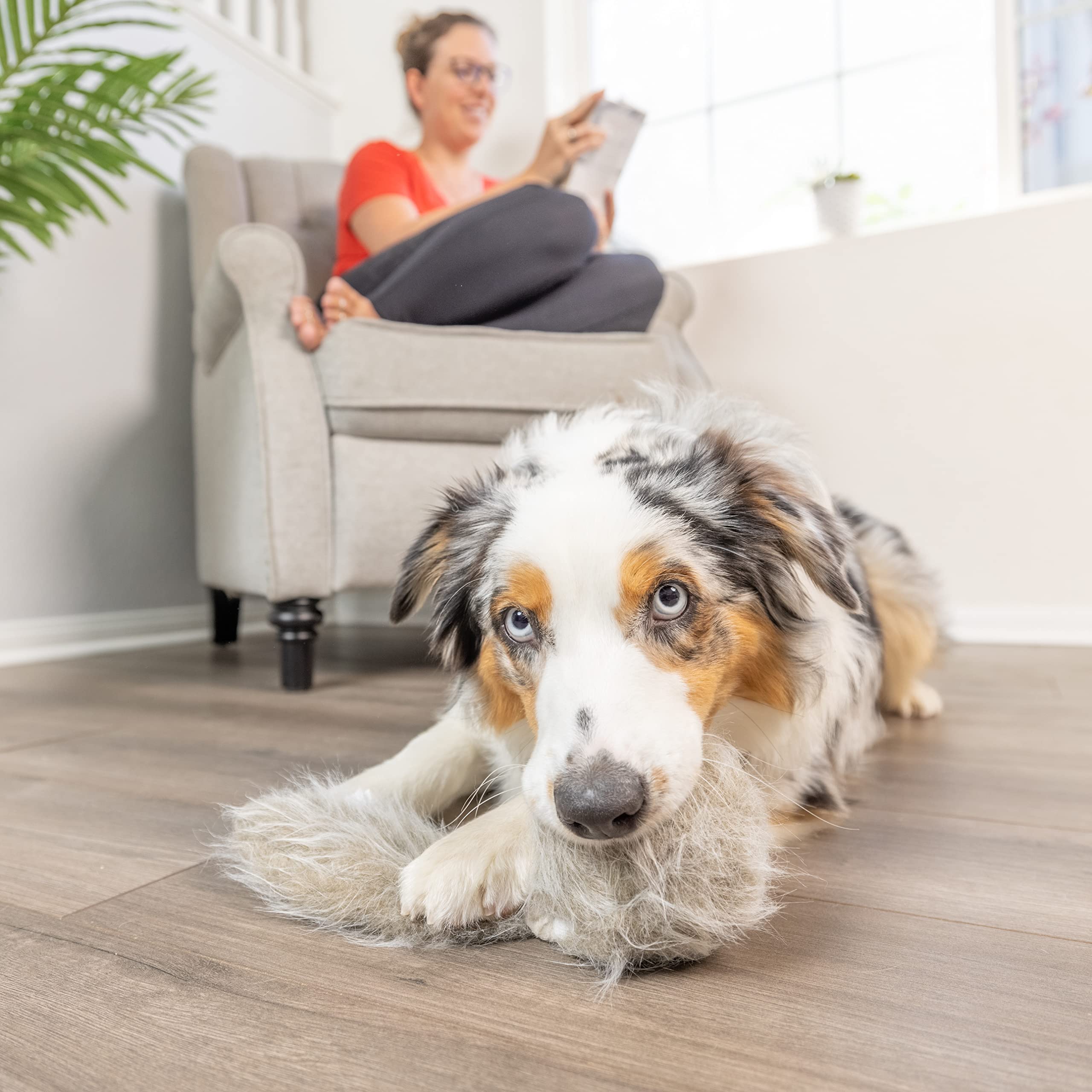 Hyper Pet Doggie Tail & Unicorn Pal on-off switch for simple control