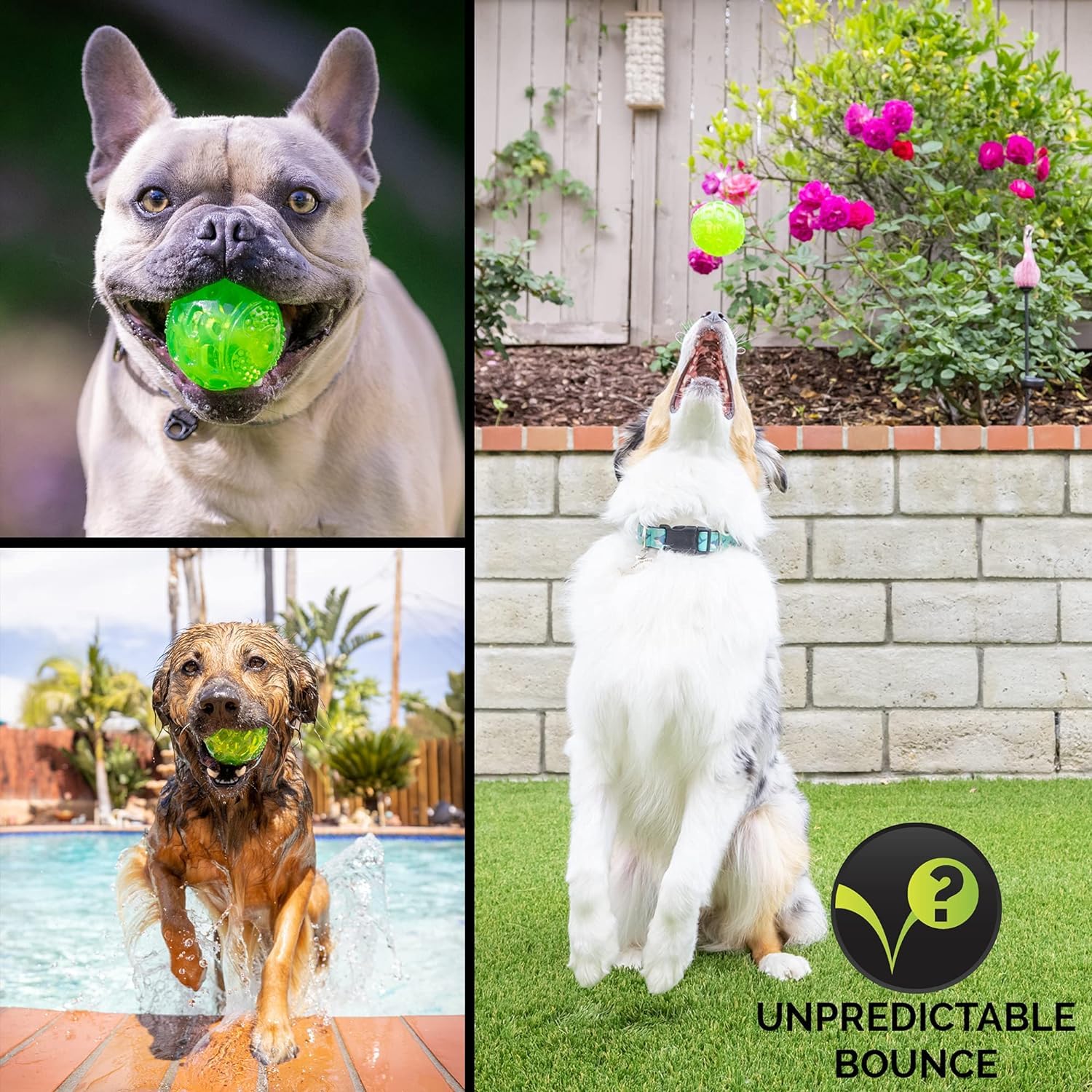 Hyper Pet DuraSqueak ball with bumpy surface boosts engagement during chase and bounce