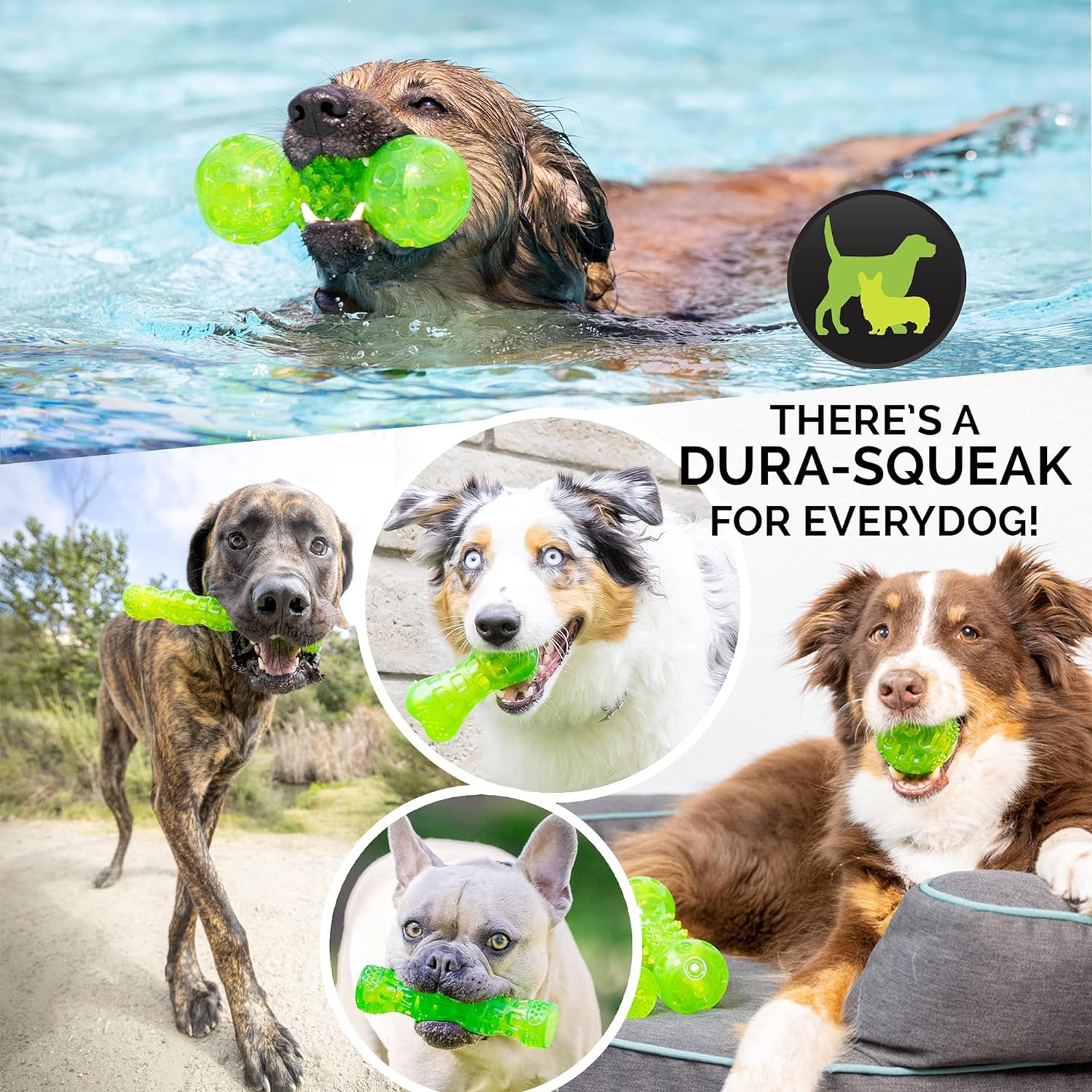 Hyper Pet DuraSqueak ball is durable and easy to clean