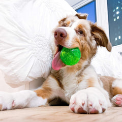 Hyper Pet DuraSqueak ball squeak-action invites curious play and object exploration