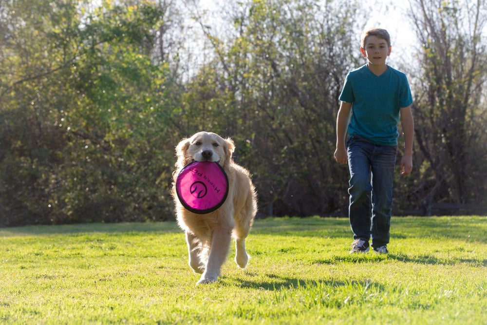 Hyper Pet Flippy Flopper beach, pool, or backyard play compatibility.